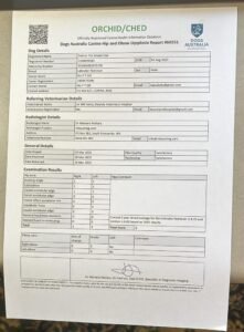 Hip and Elbow Report