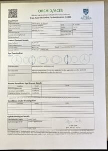 Eye Certificate