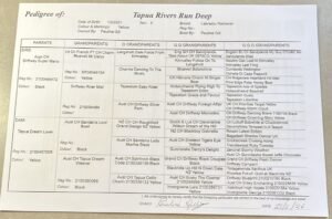 Pedigree — page 1