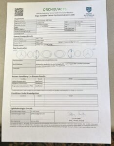 Eye Certificate
