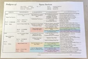 Pedigree — page 1