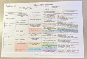 Pedigree — page 1